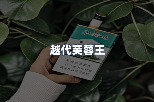 越代芙蓉王